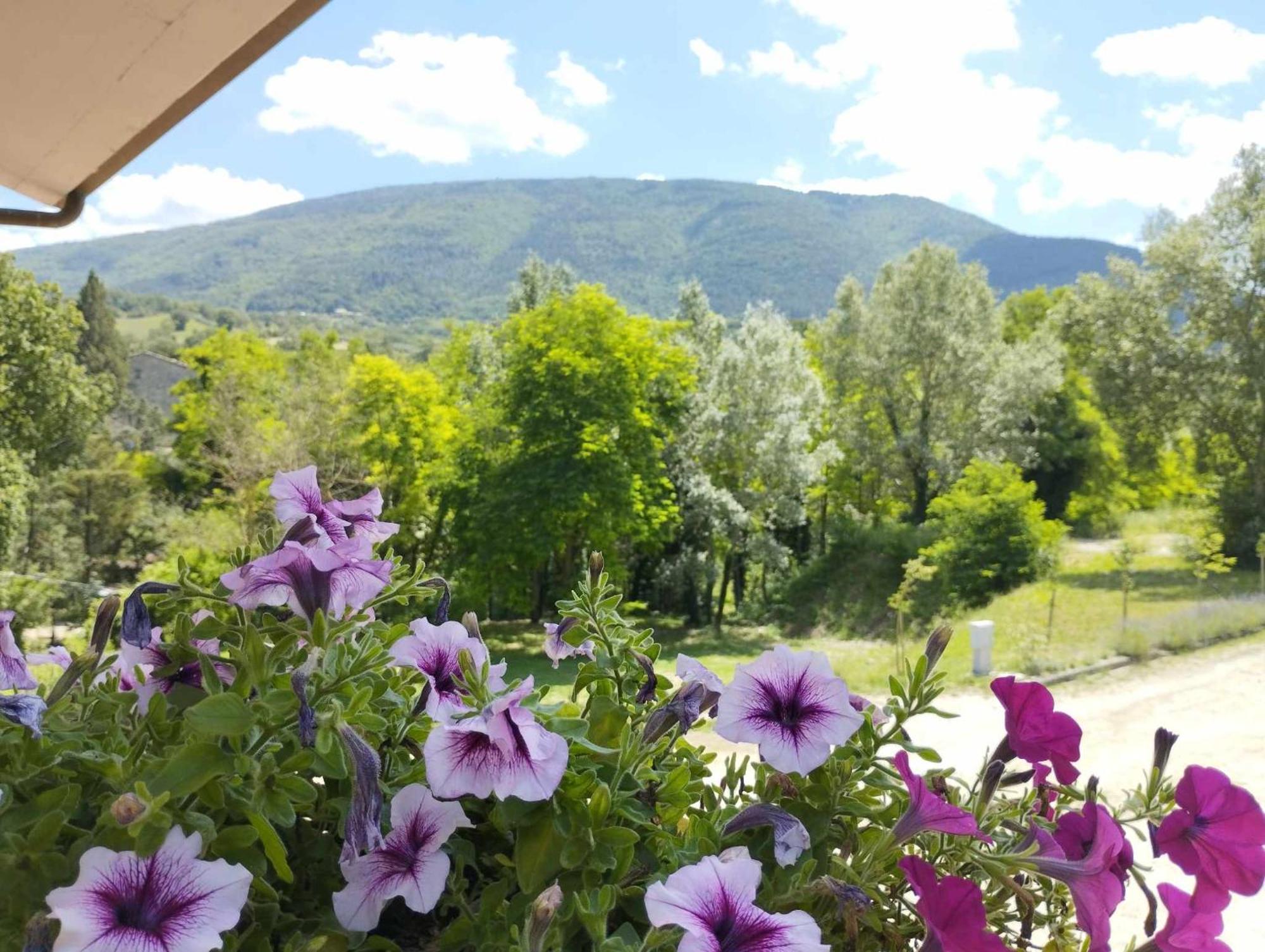 Pianpieve Nature & Relax Apartments Asís Exterior foto
