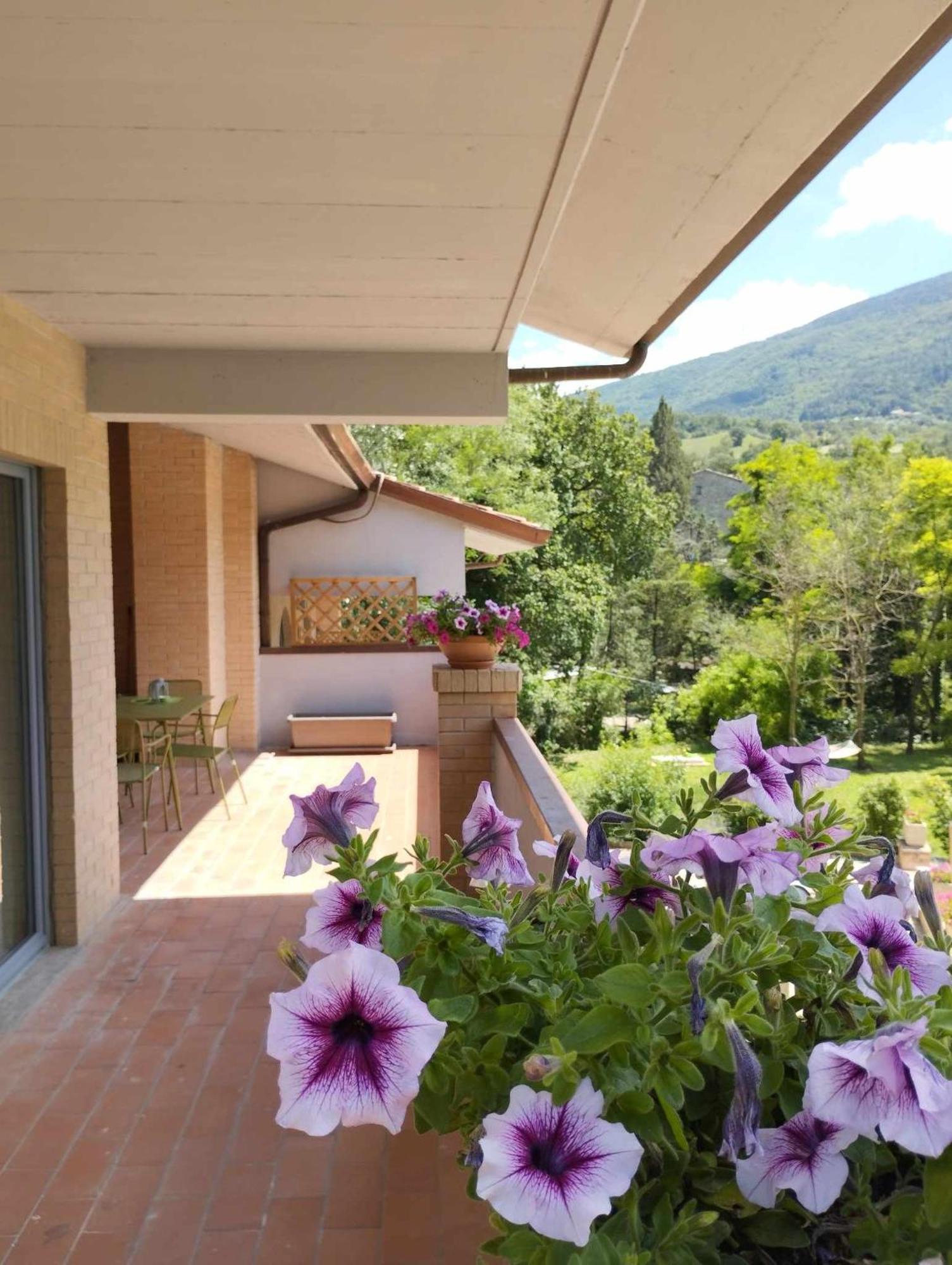 Pianpieve Nature & Relax Apartments Asís Exterior foto