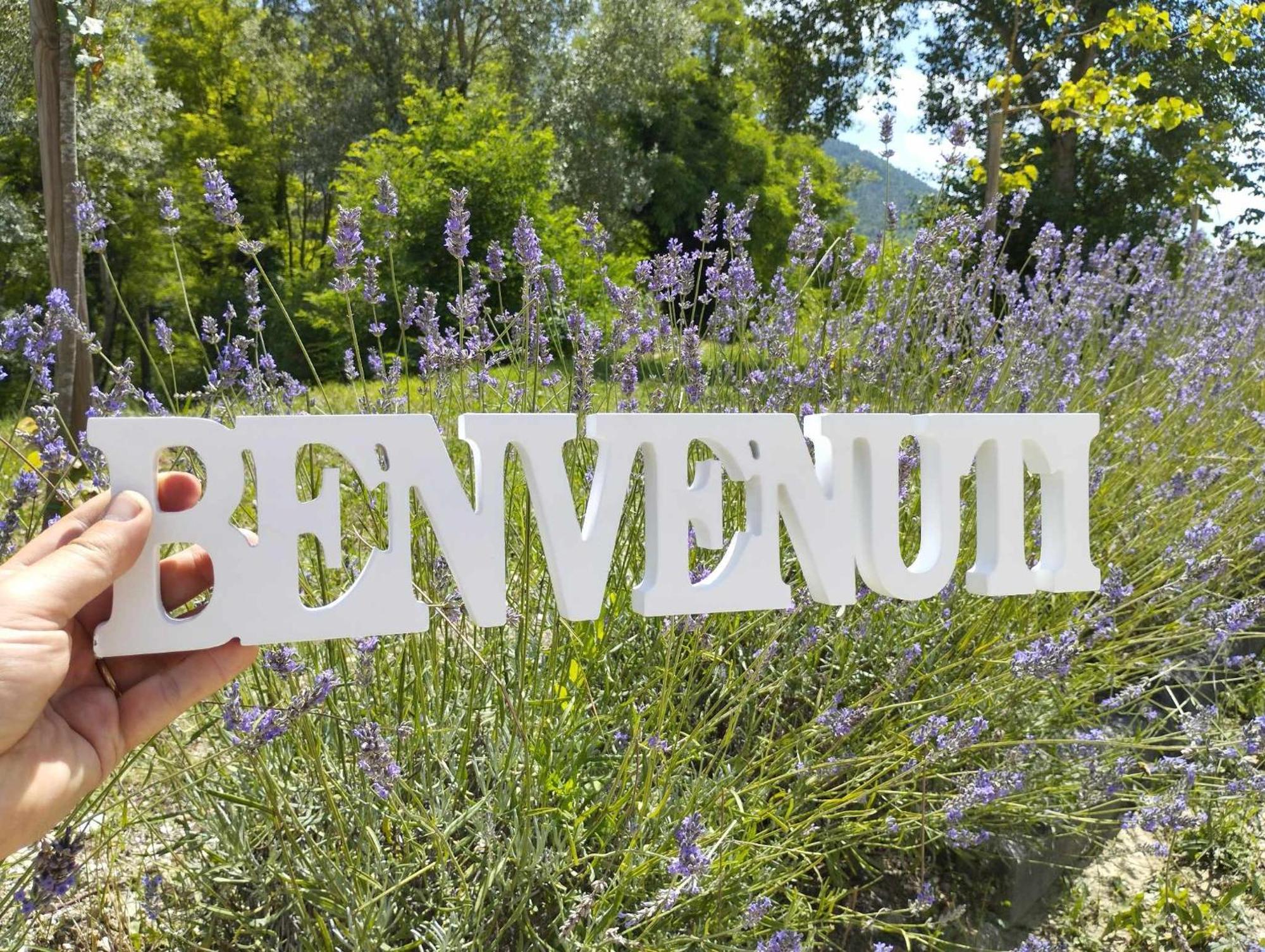Pianpieve Nature & Relax Apartments Asís Exterior foto