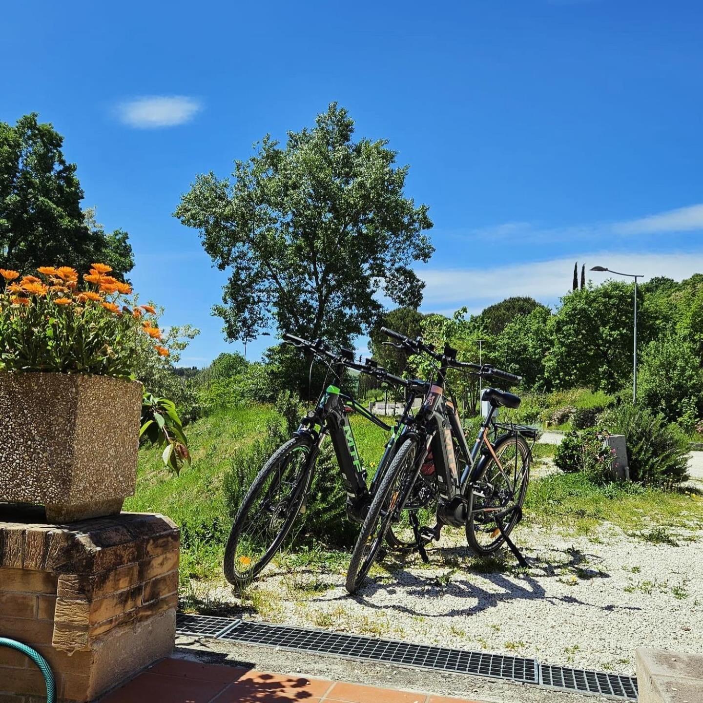 Pianpieve Nature & Relax Apartments Asís Exterior foto